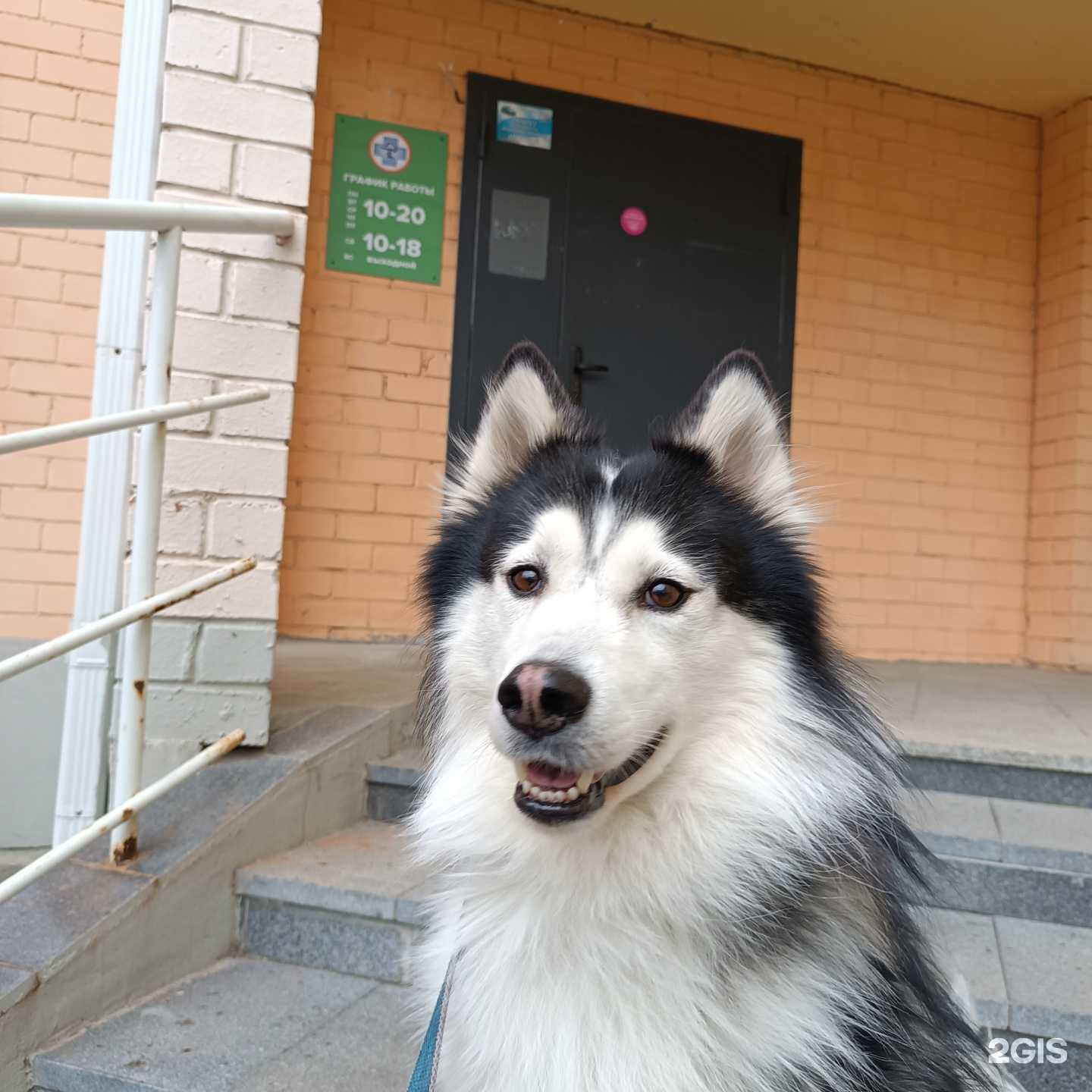 Отзывы на компанию Ветеринарный кабинет в г. Челябинск c фото