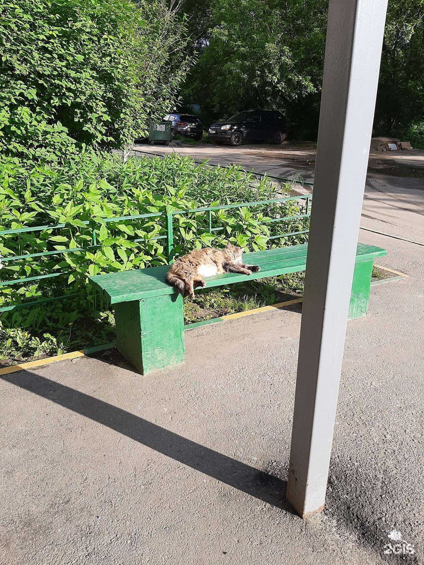 Отзывы на компанию Надежда в Нижнем Новгороде c фото - фотография 2 из 2