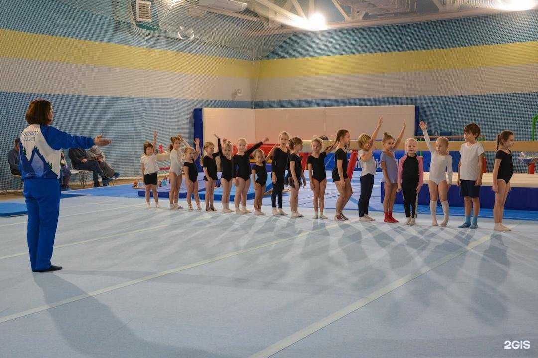 Отзывы на компанию Спортивная школа олимпийского резерва по гимнастике в г. Кемерово c фото