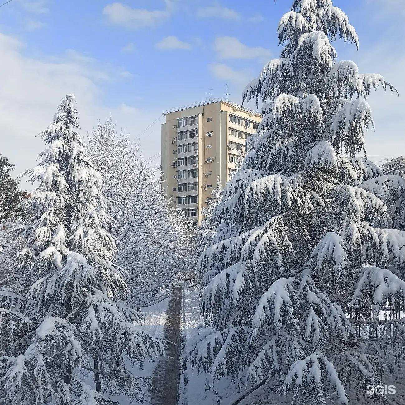 Отзывы на компанию Средняя школа №26 в г. Сочи c фото