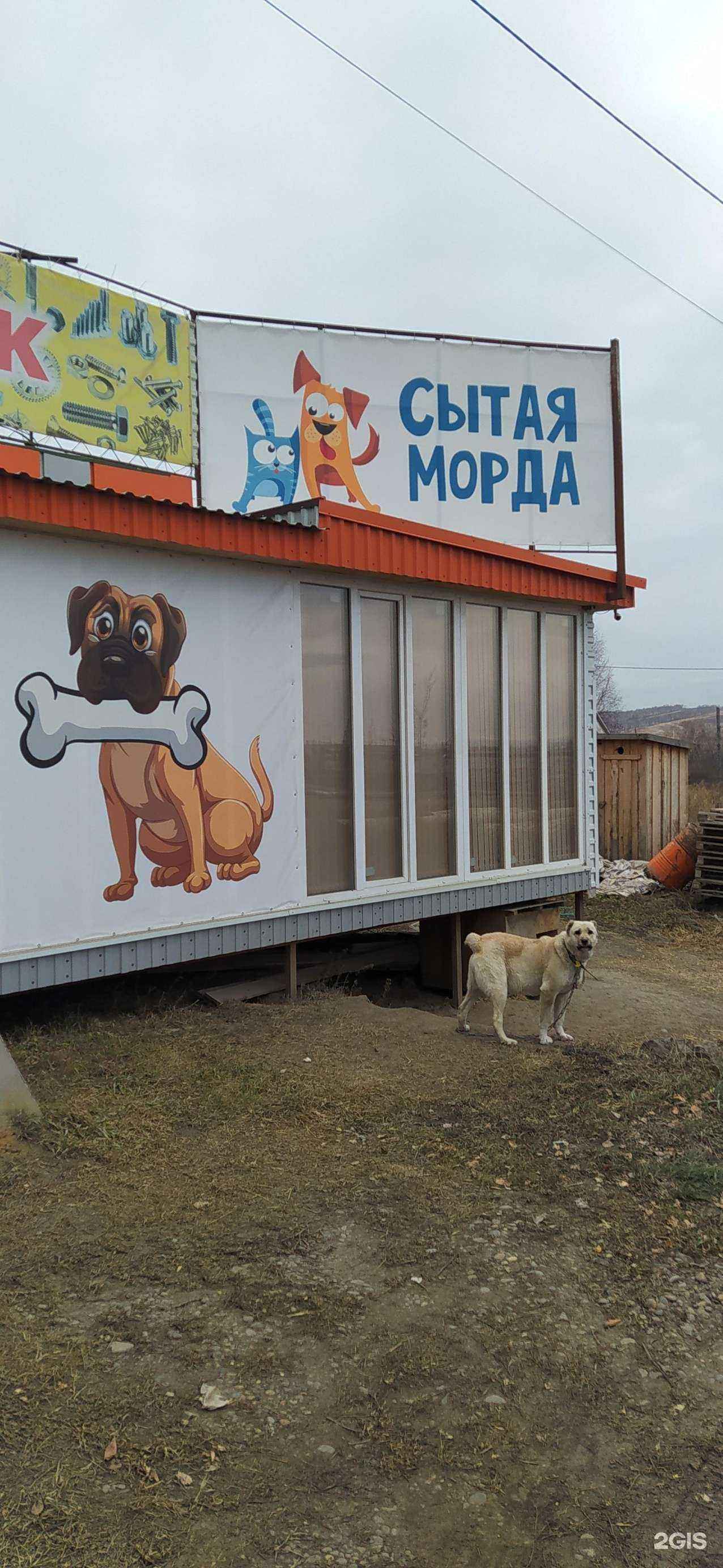 Отзывы на компанию Сытая морда в Красноярске c фото