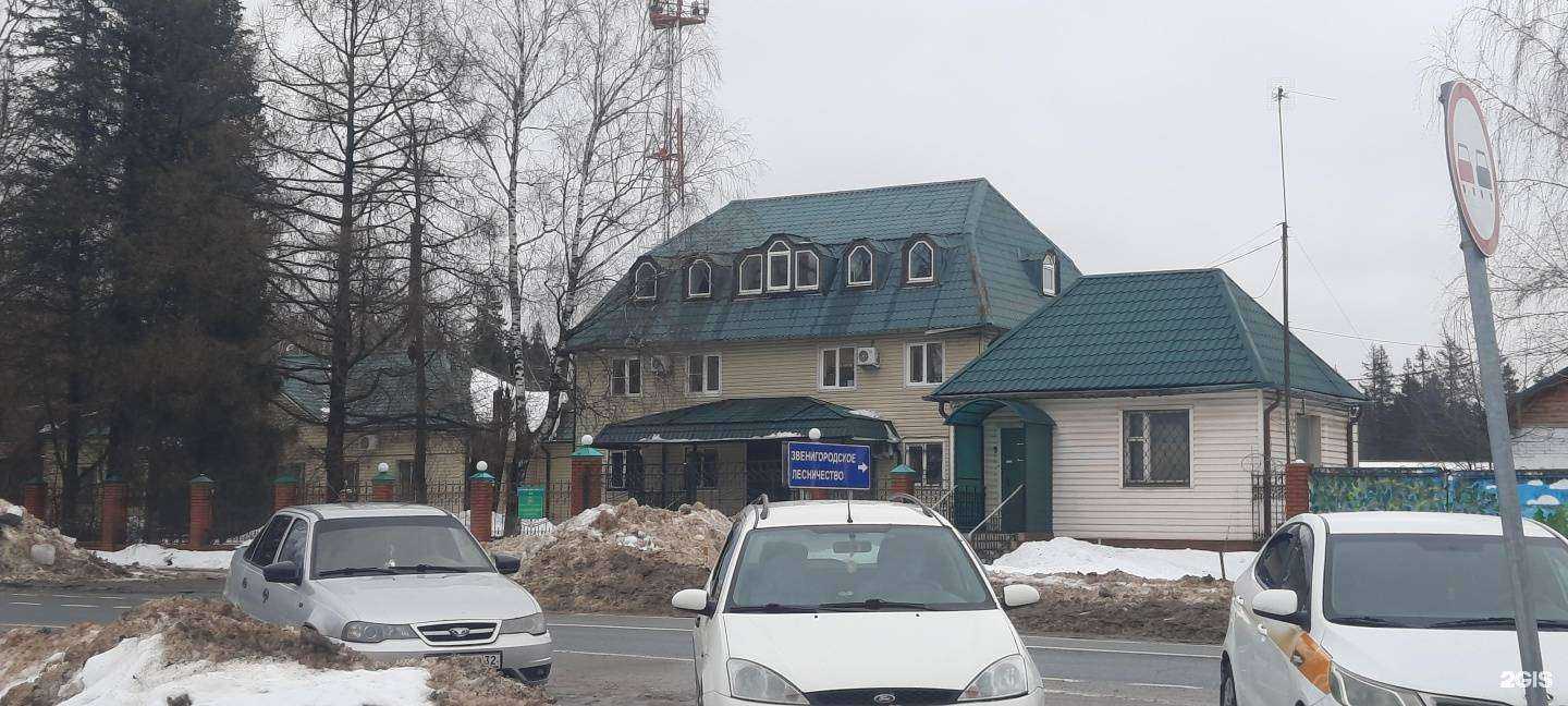 Отзывы на компанию Зелный мир в Голицыне c фото