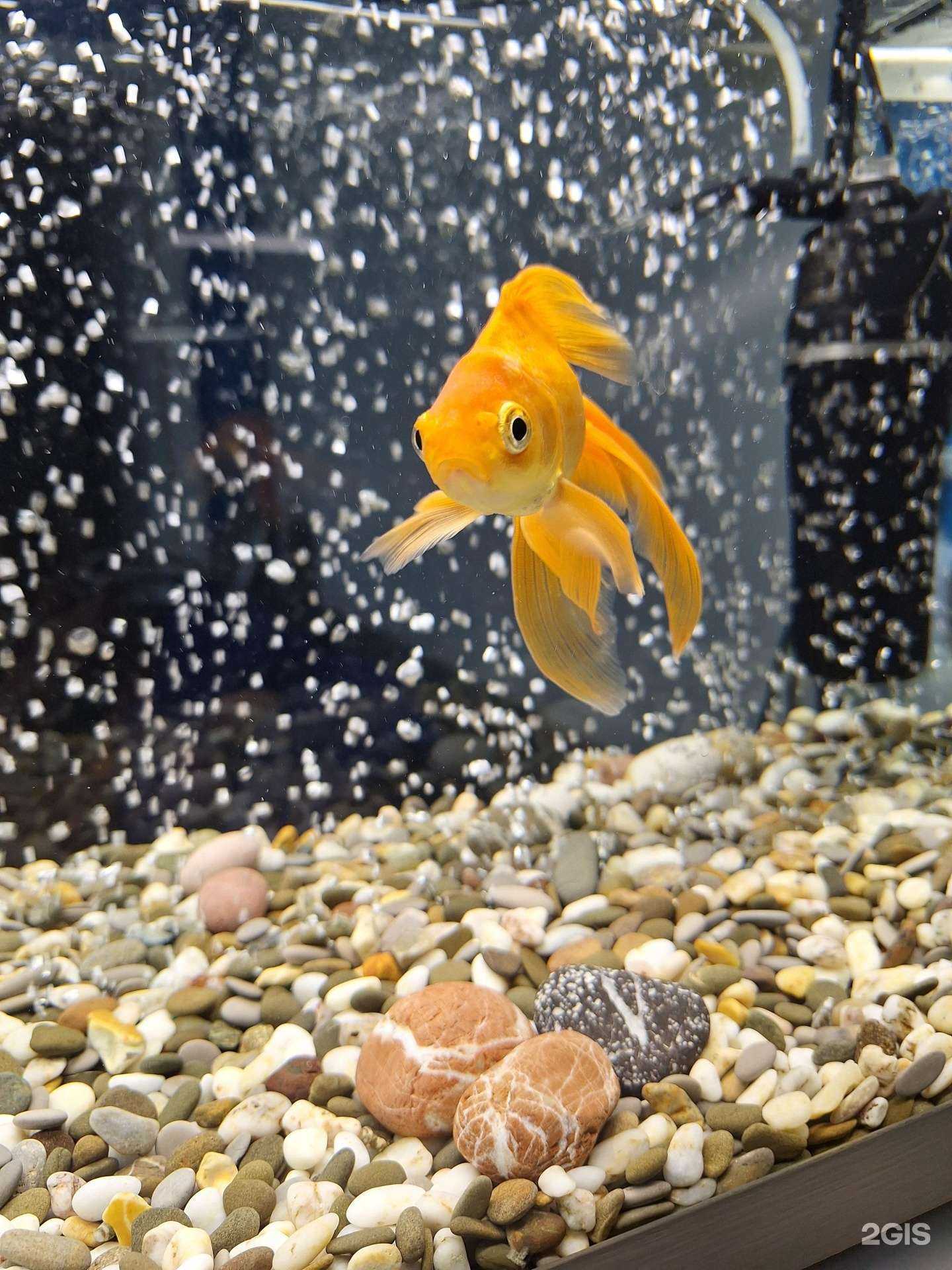 Отзывы на компанию Not Bad в г. Новосибирск c фото