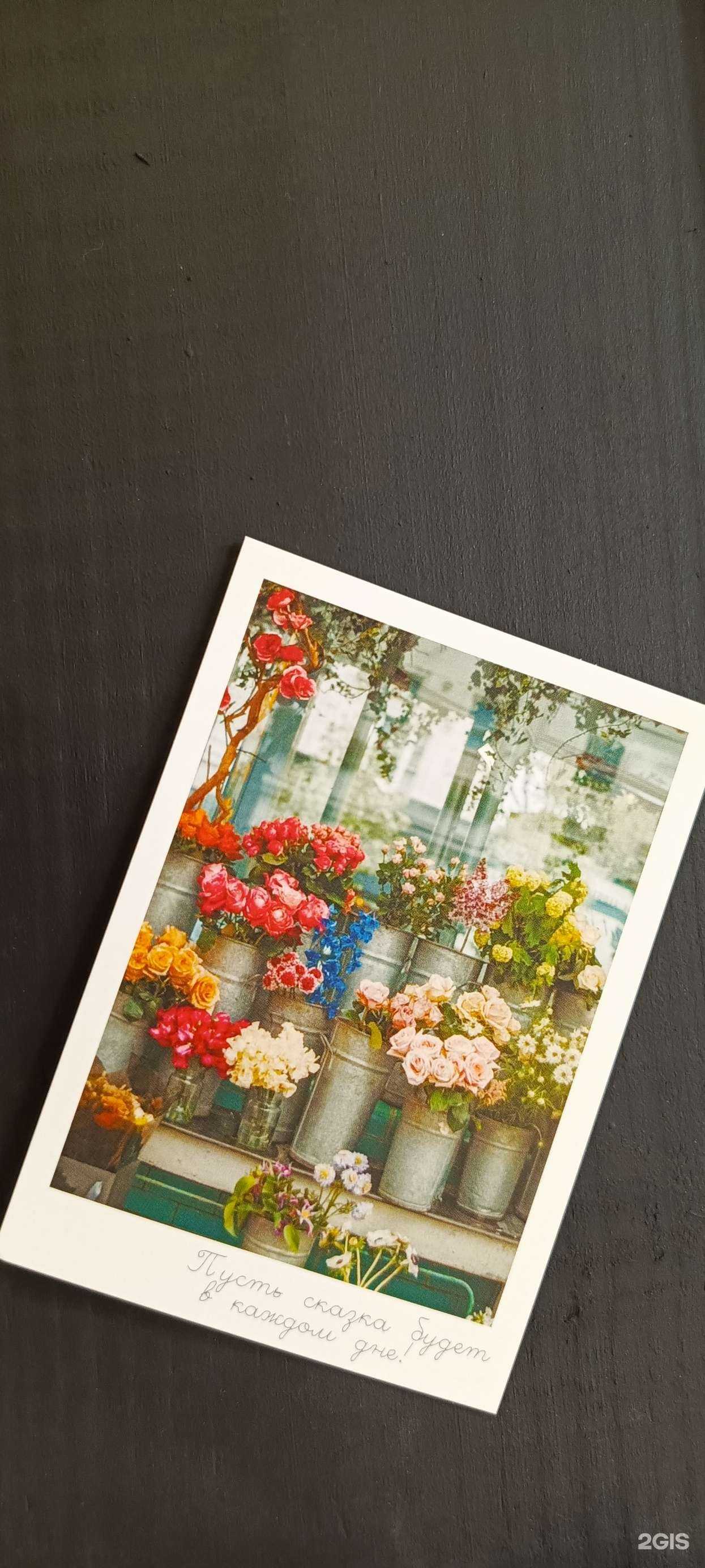 Отзывы на компанию ПолеСад в г. Долгопрудный c фото