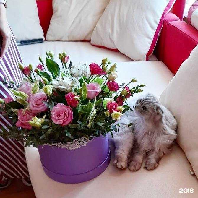 Отзывы на компанию Цветы для вас в г. Сызрань c фото