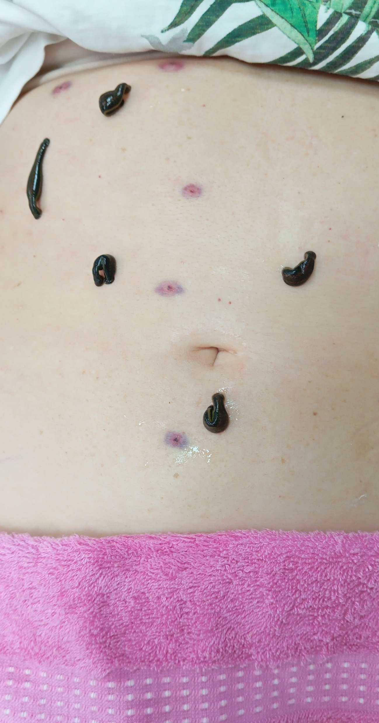 Отзывы на компанию Шоколад в г. Майкоп c фото