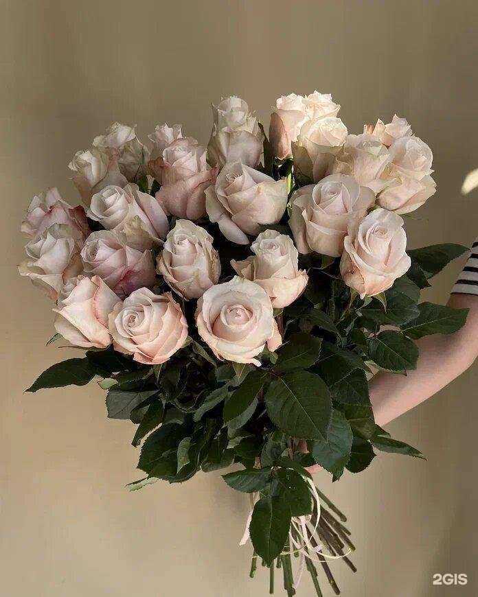 Отзывы на компанию Цветариум  в г. Краснодар c фото