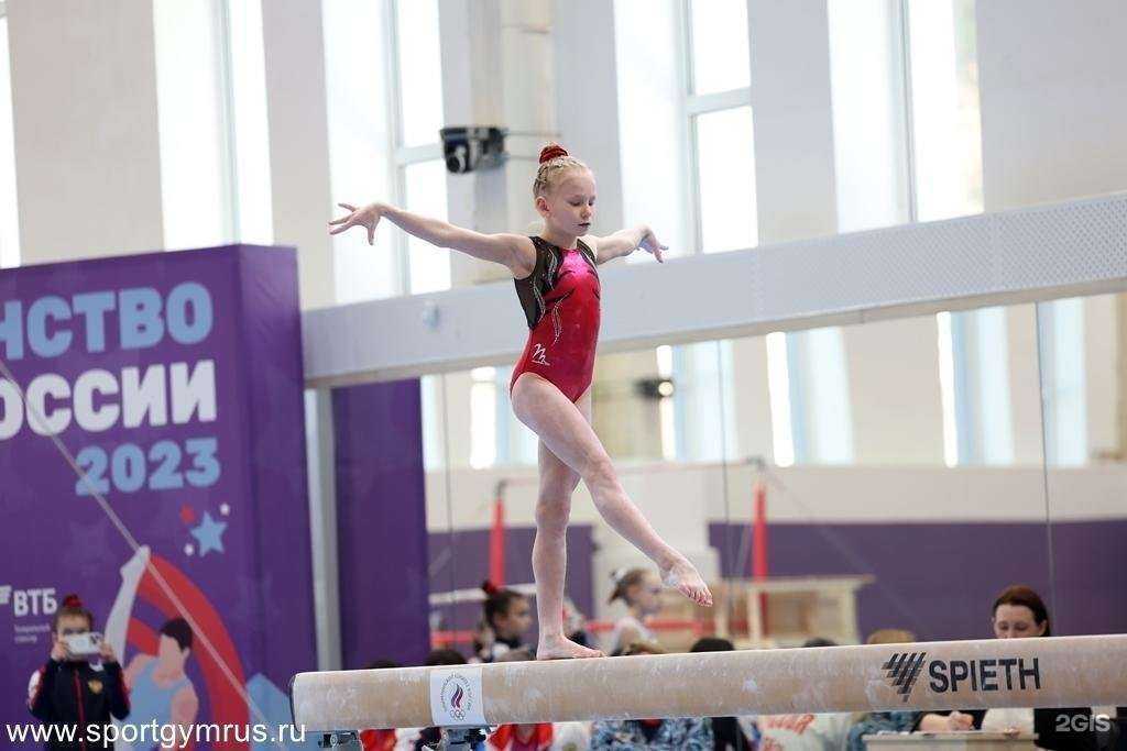 Отзывы на компанию СШОР по спортивной гимнастике им. Н.Г. Толкачева в г. Владимир c фото