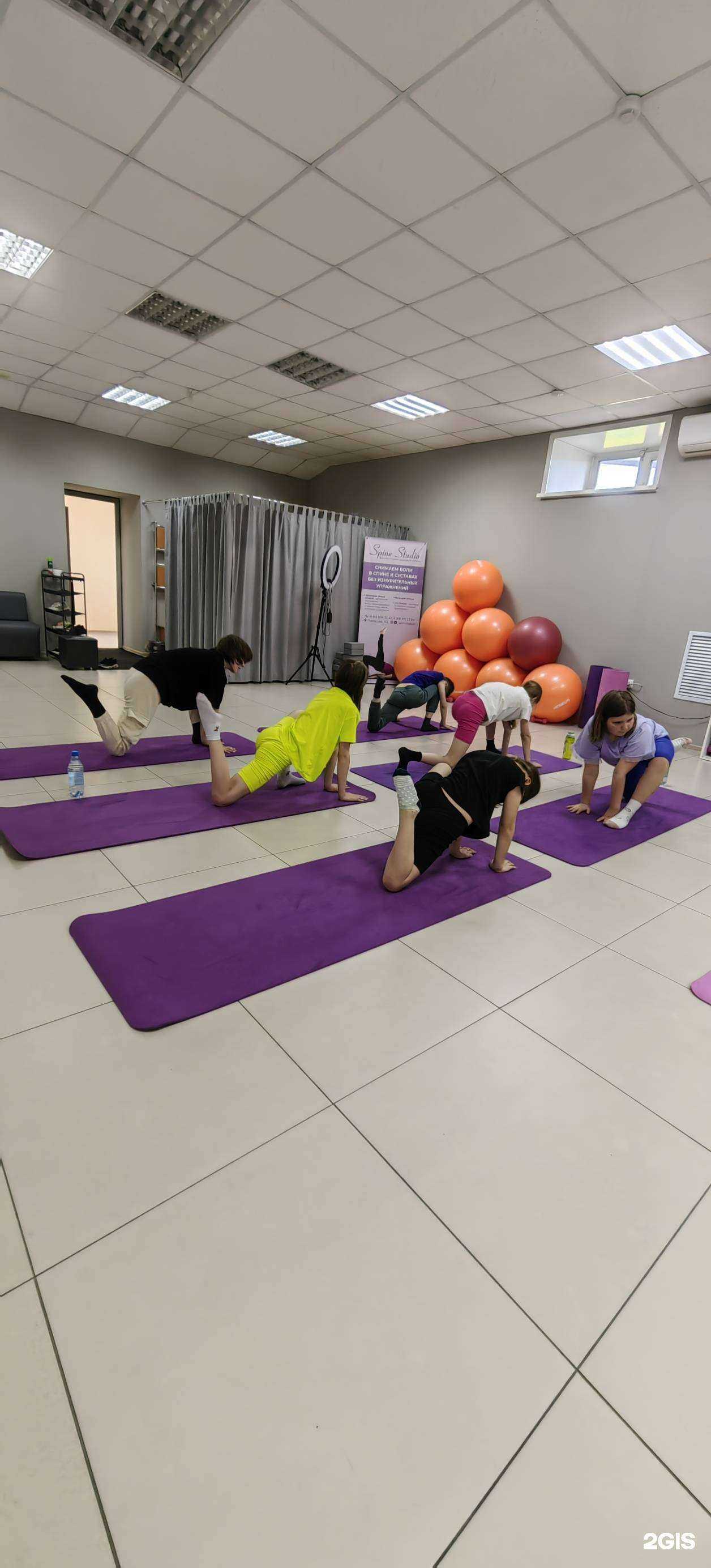 Отзывы на компанию Spine Studio в г. Абакан c фото