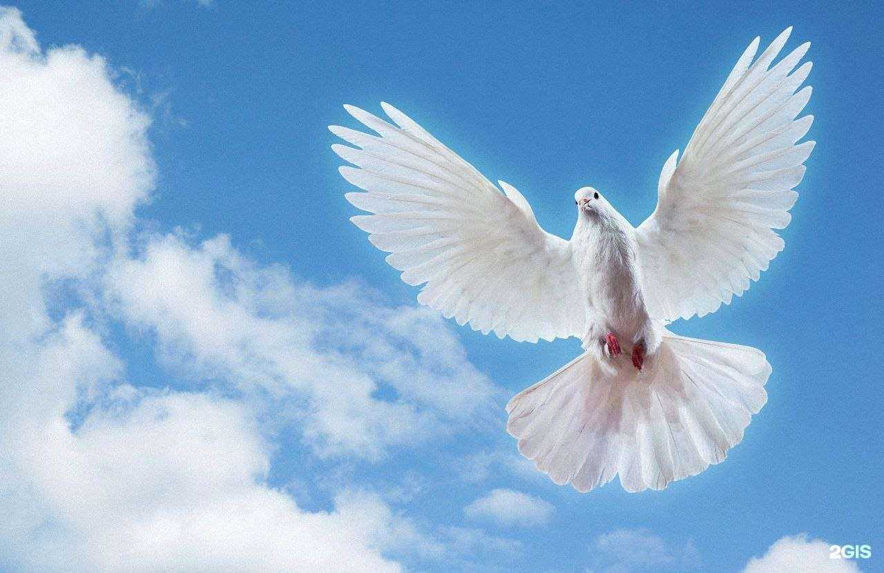 Отзывы на компанию План Б в г. Мурманск c фото