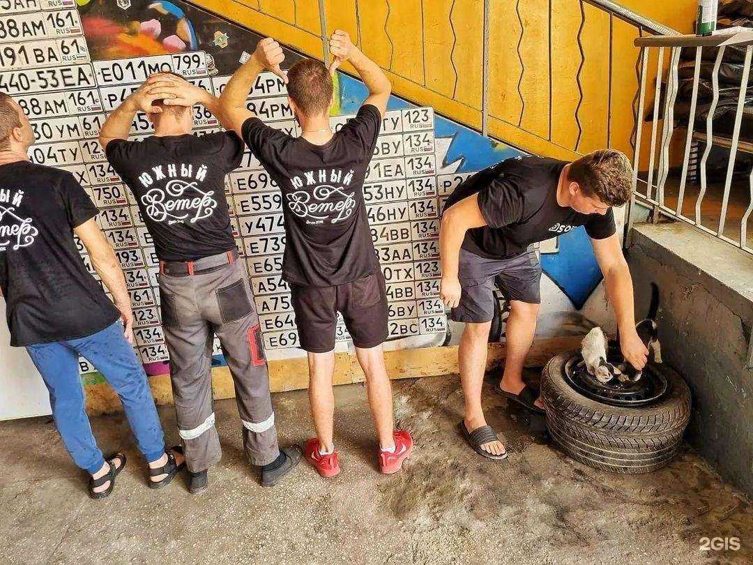 Отзывы на компанию Южный Ветер в г. Ростов-на-Дону c фото