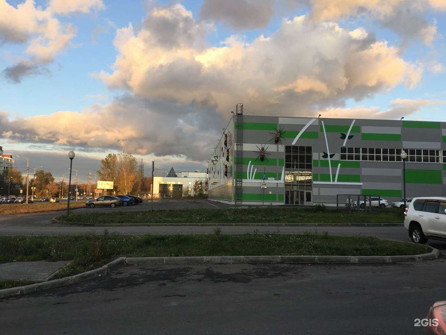 Отзывы на компанию Чиполлино в Тольятти c фото - фотография 2 из 2