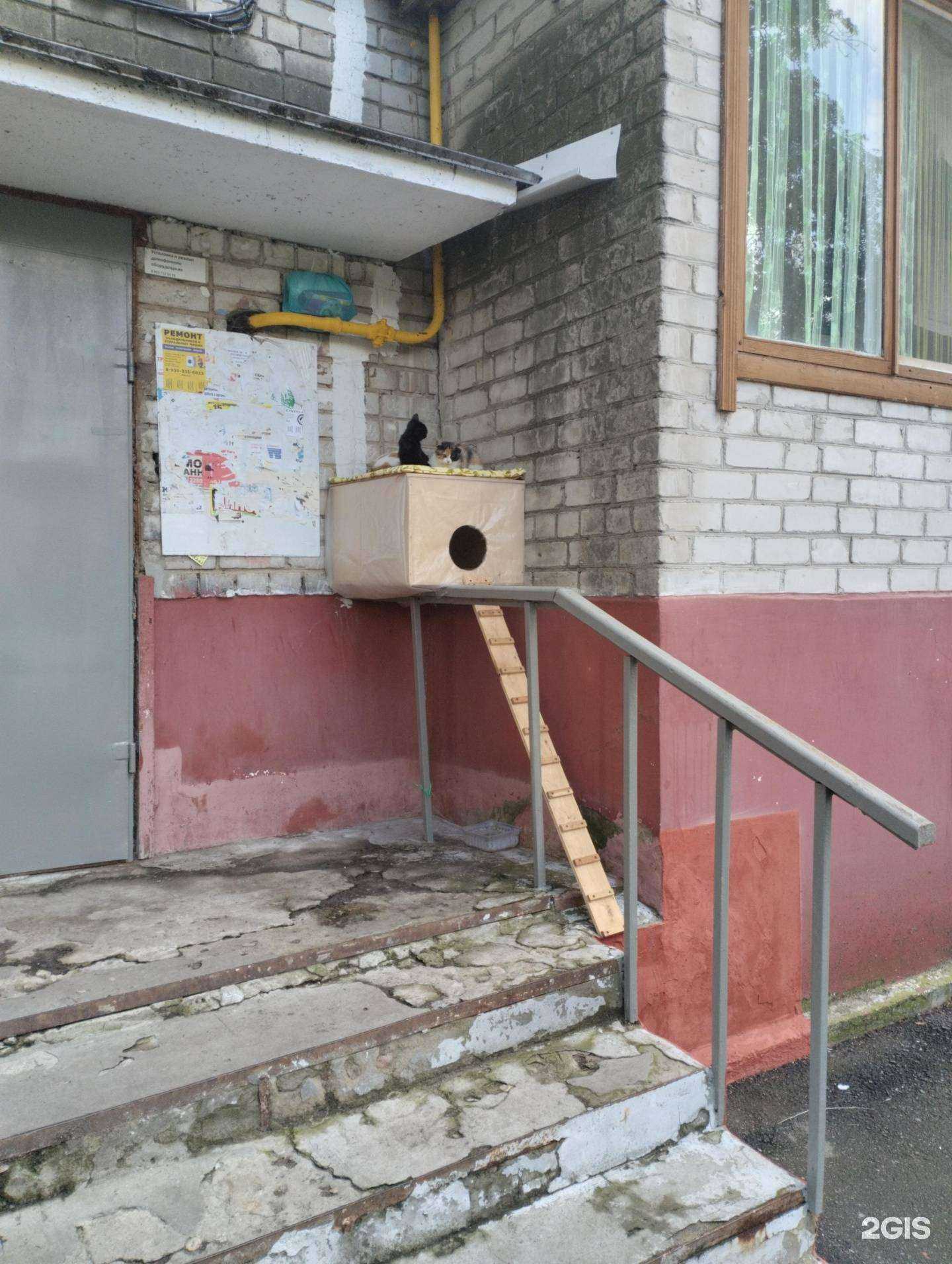 Отзывы на компанию Партнер в Тамбове c фото - фотография 2 из 2