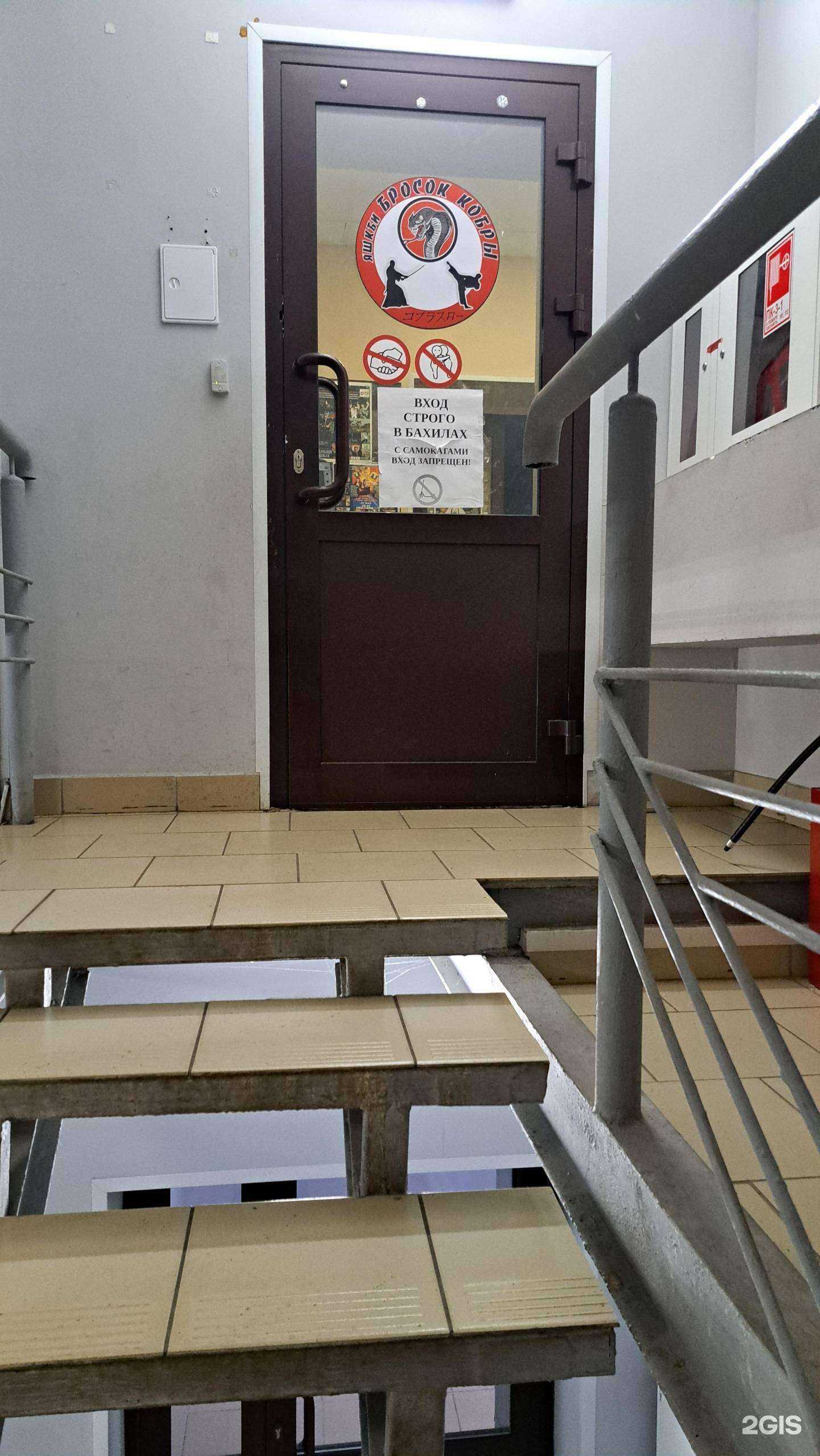 Отзывы на компанию Бросок кобры в Ярославле c фото