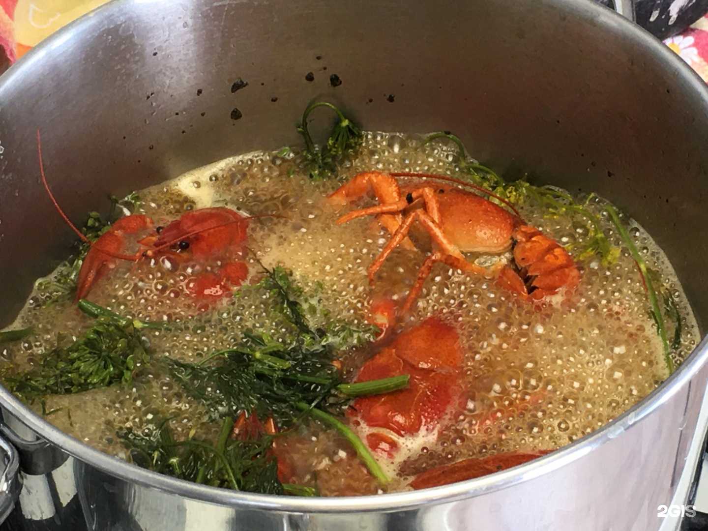 Отзывы на компанию Раки в руки в Чебаркуле c фото