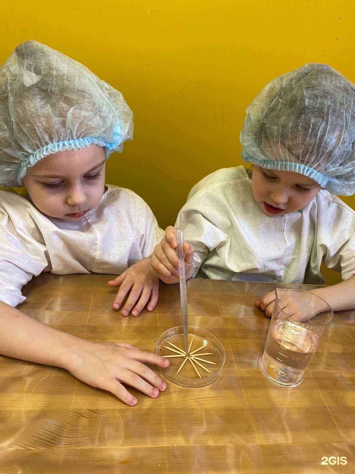 Отзывы на компанию Жёлтый Дикобраз в г. Ростов-на-Дону c фото