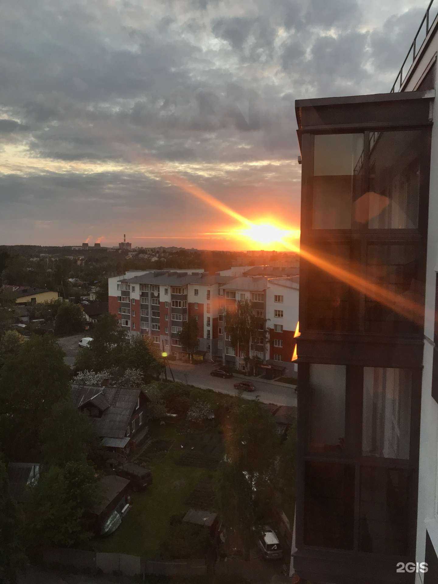 Отзывы на компанию Флора-маркет в Петрозаводске c фото - фотография 2 из 2