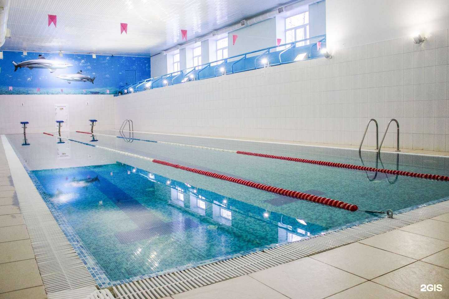 Отзывы на компанию Плавательный бассейн в Сыктывкаре c фото