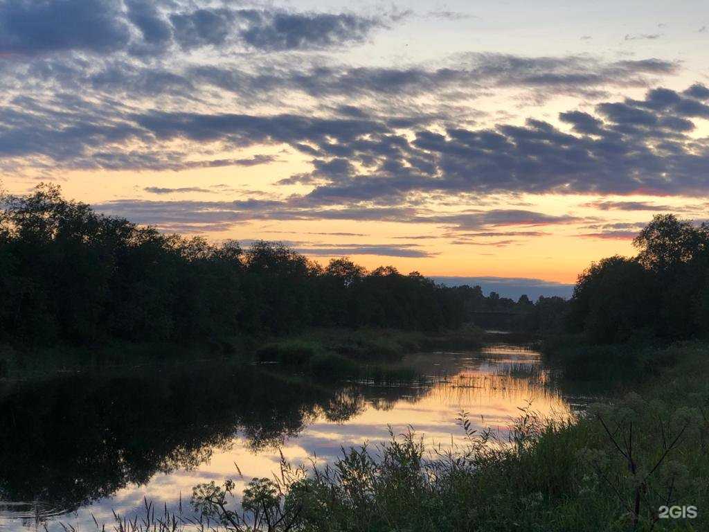 Отзывы на компанию Малинки в Вологде c фото