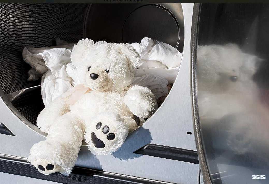 Отзывы на компанию Ромашка в Тюмени c фото