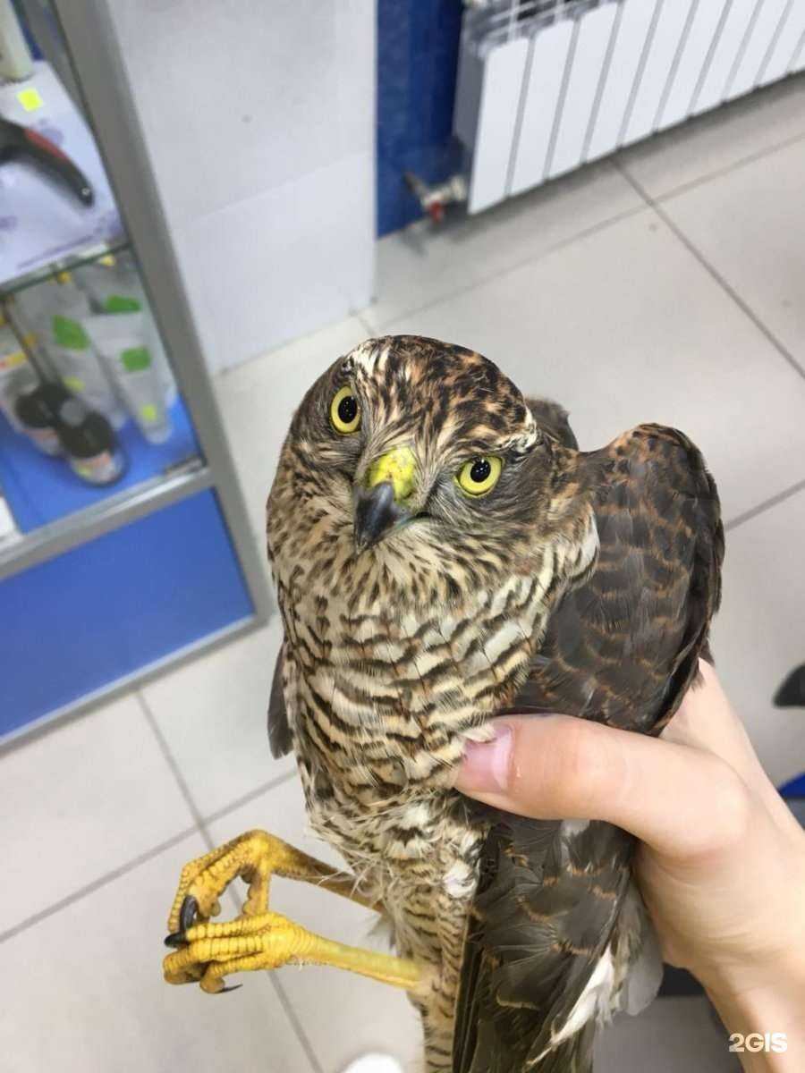 Отзывы на компанию Зоодоктор в г. Екатеринбург c фото