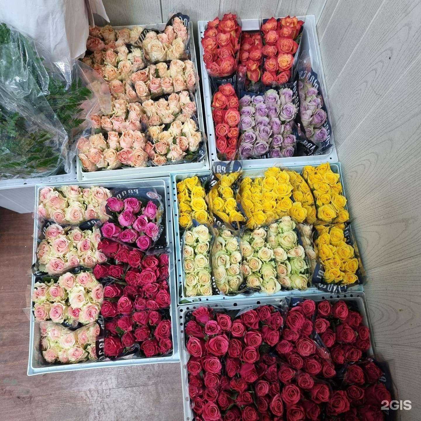 Отзывы на компанию Я ЛЮБЛЮ ЦВЕТЫ И КОФЕ в г. Белгород c фото