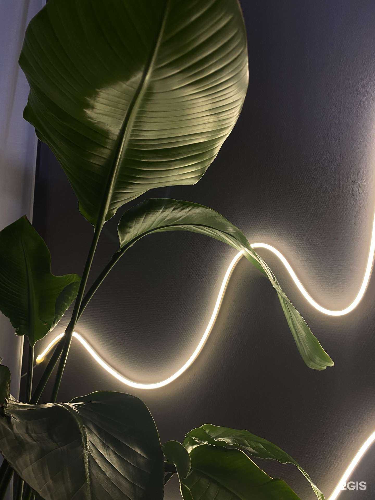 Отзывы на компанию Студия эпиляции Диляры Фаттаховой в Казани c фото