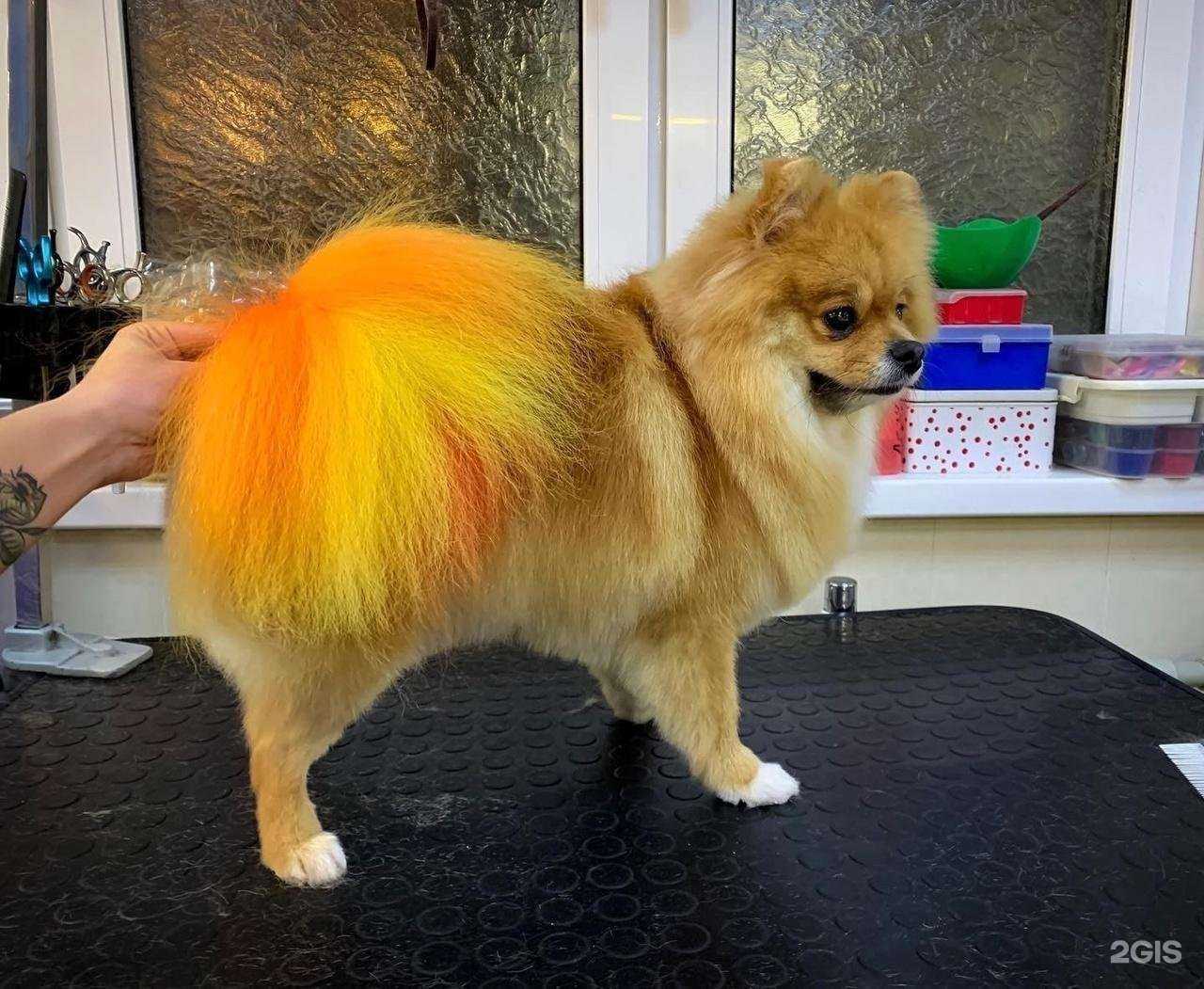 Отзывы на компанию Тефи в Подольске c фото