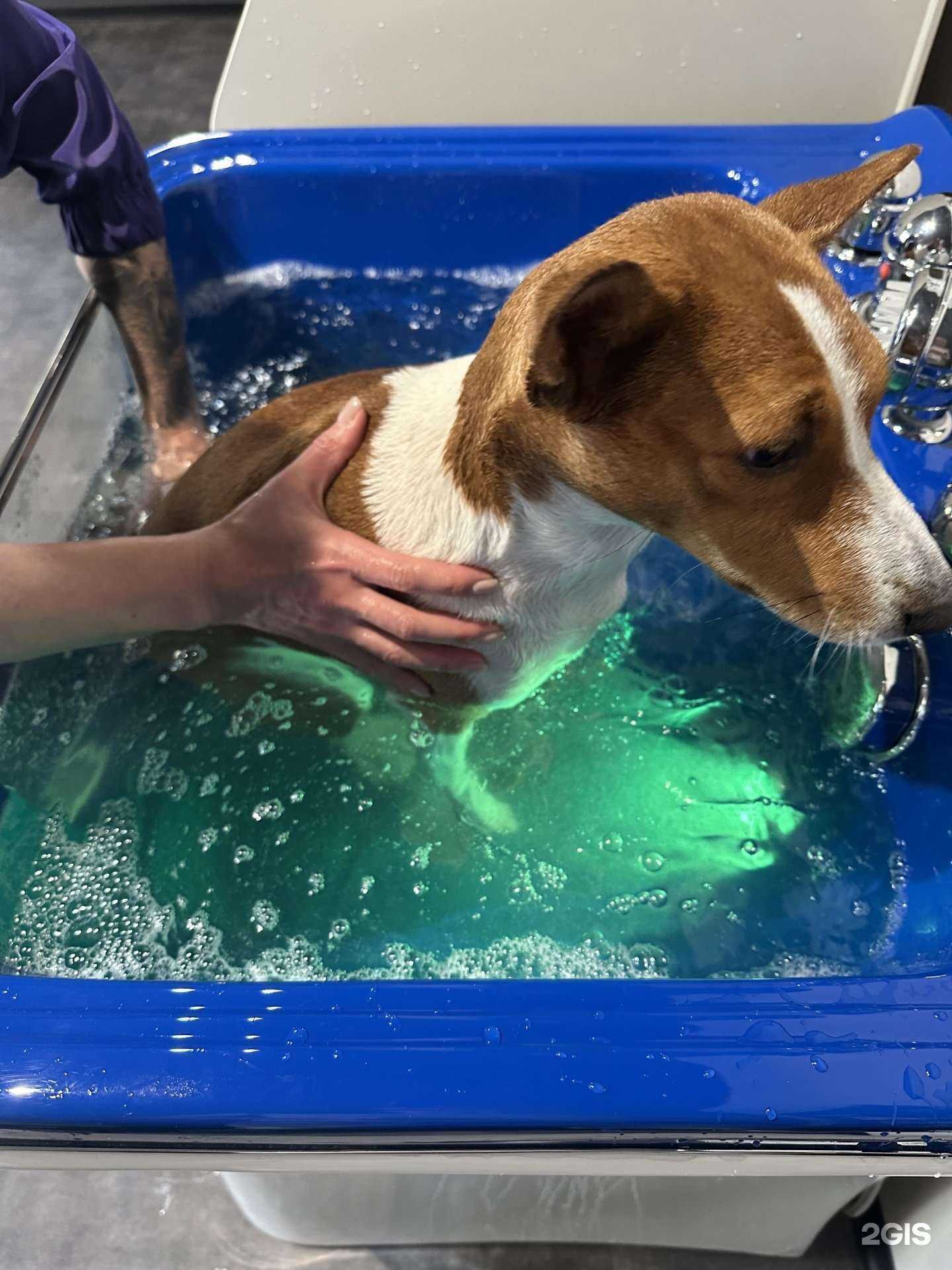 Отзывы на компанию Mister M в Екатеринбурге c фото