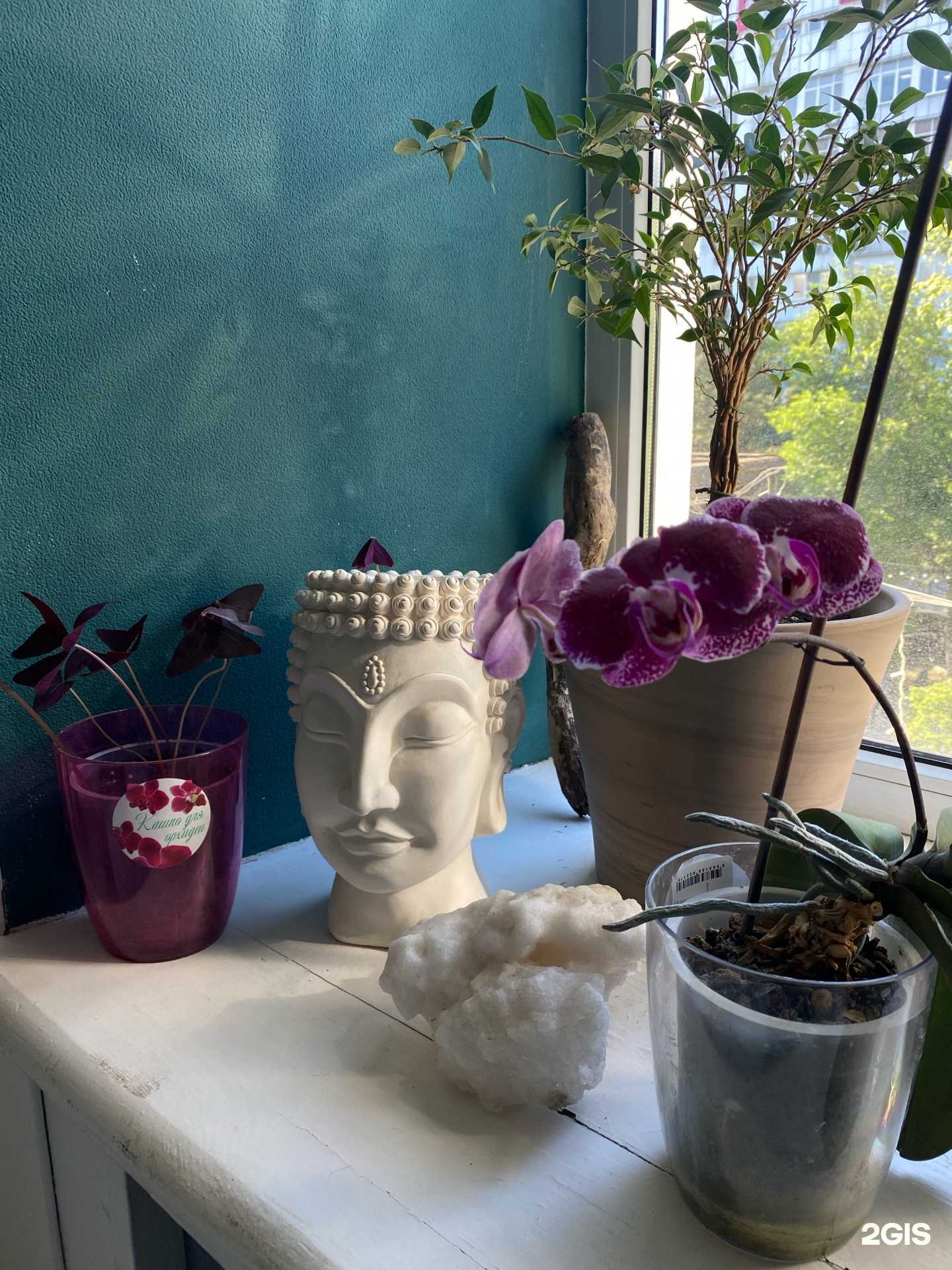 Отзывы на компанию Angel Nails Studio в г. Ростов-на-Дону c фото