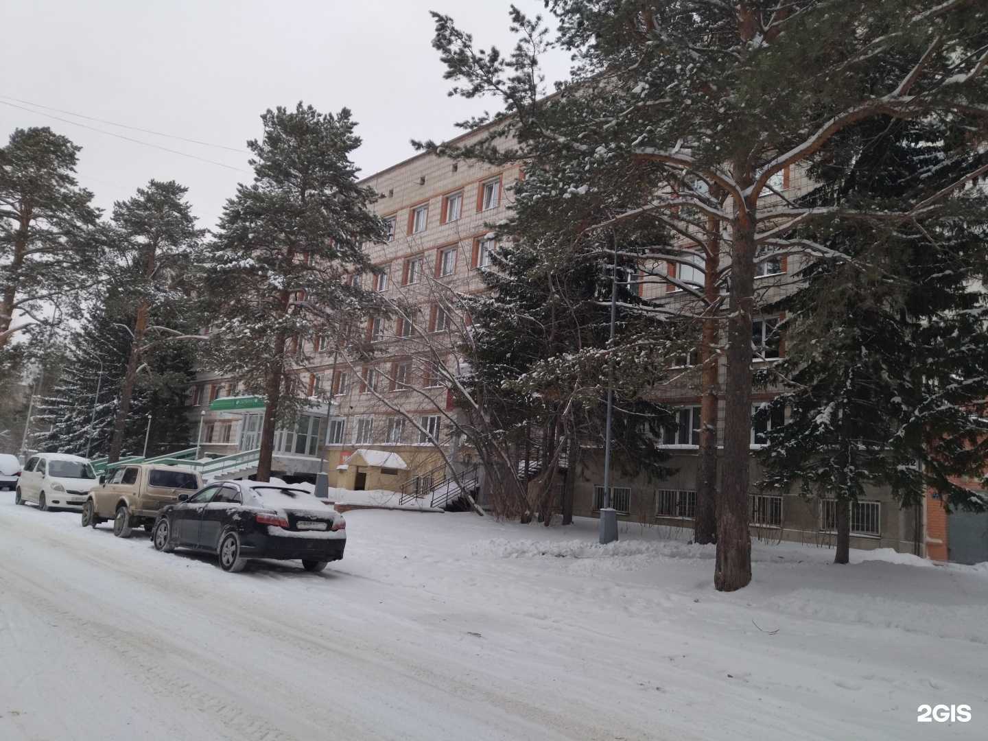 Отзывы на компанию Академия бразильского джиу-джитсу и грэпплинга в Северске c фото - фотография 2 из 2