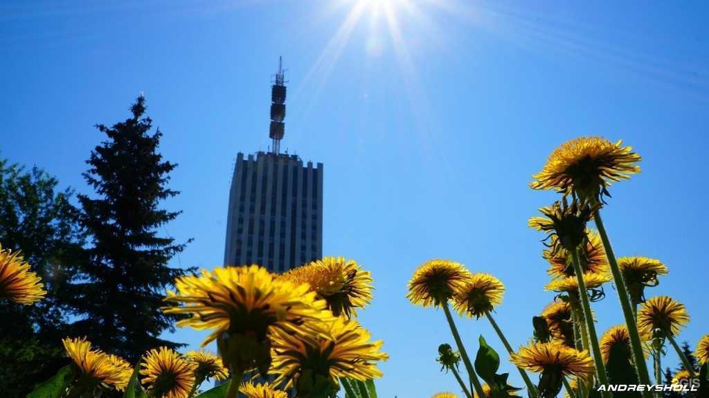 Отзывы на компанию Кругозор в г. Архангельск c фото