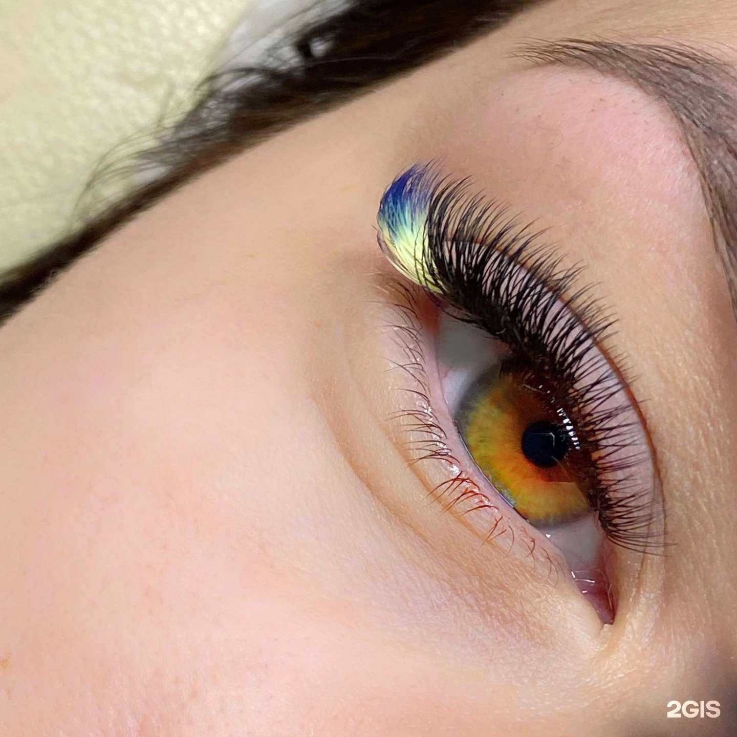 Отзывы на компанию Hollywood в г. Курган c фото