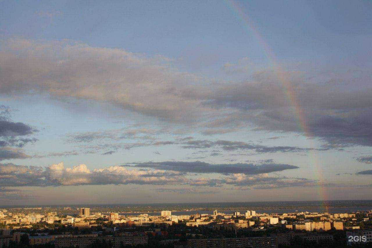 Отзывы на компанию Медведь в Саратове c фото - фотография 2 из 2