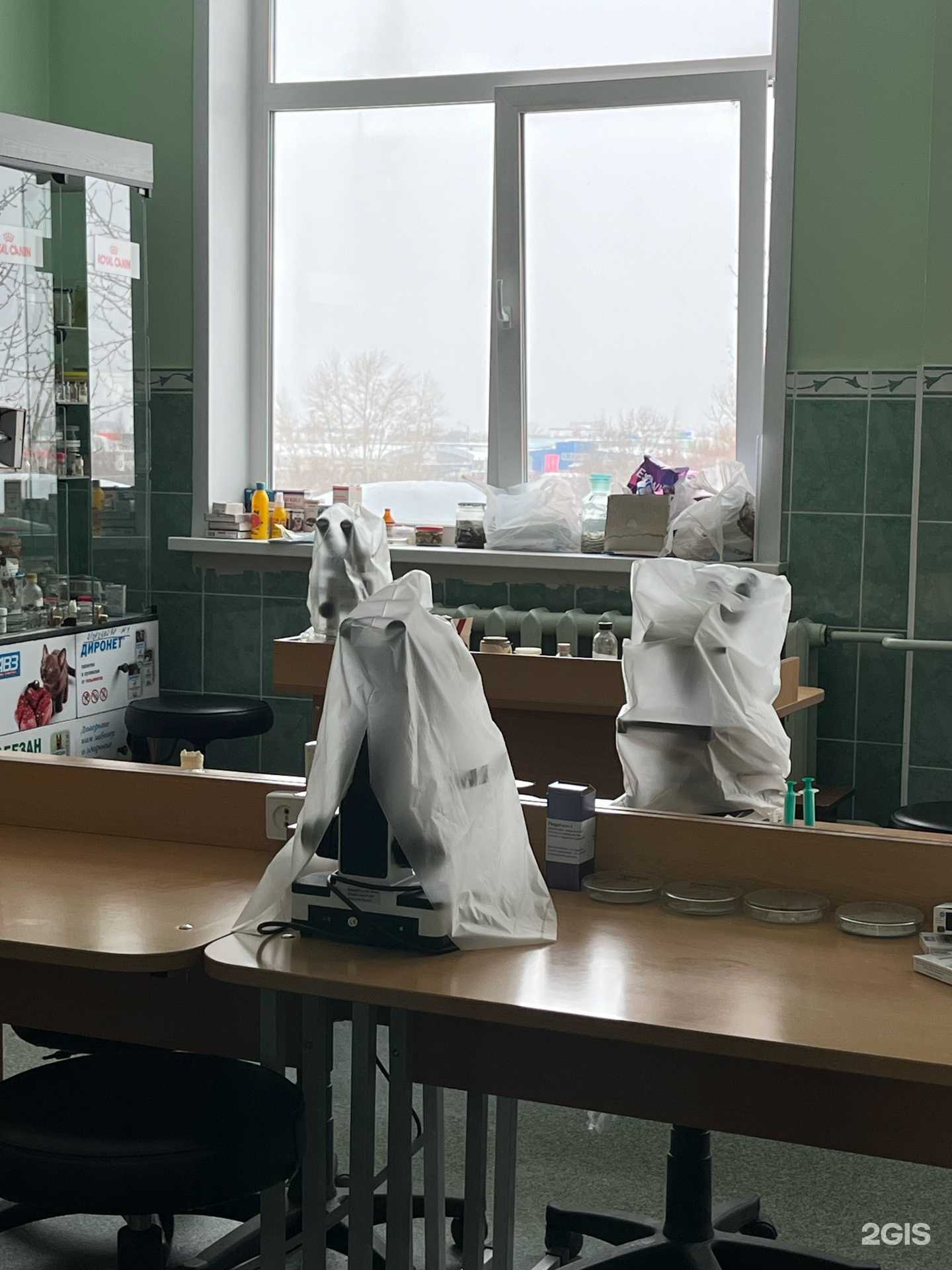 Отзывы на компанию Пермский государственный аграрно-технологический университет им. академика Д.Н. Прянишникова в Перми c фото