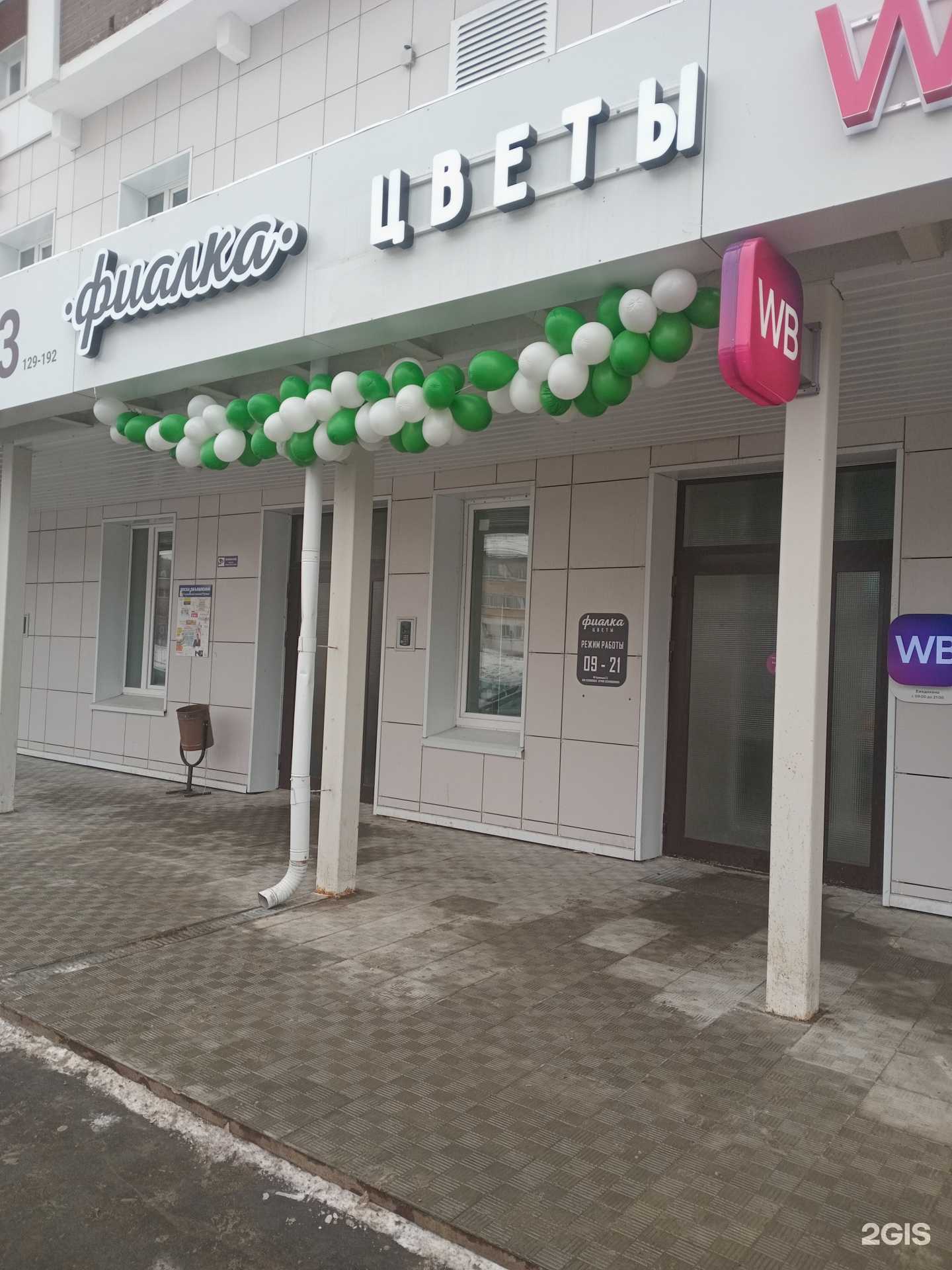 Отзывы на компанию Фиалка в Чебоксарах c фото