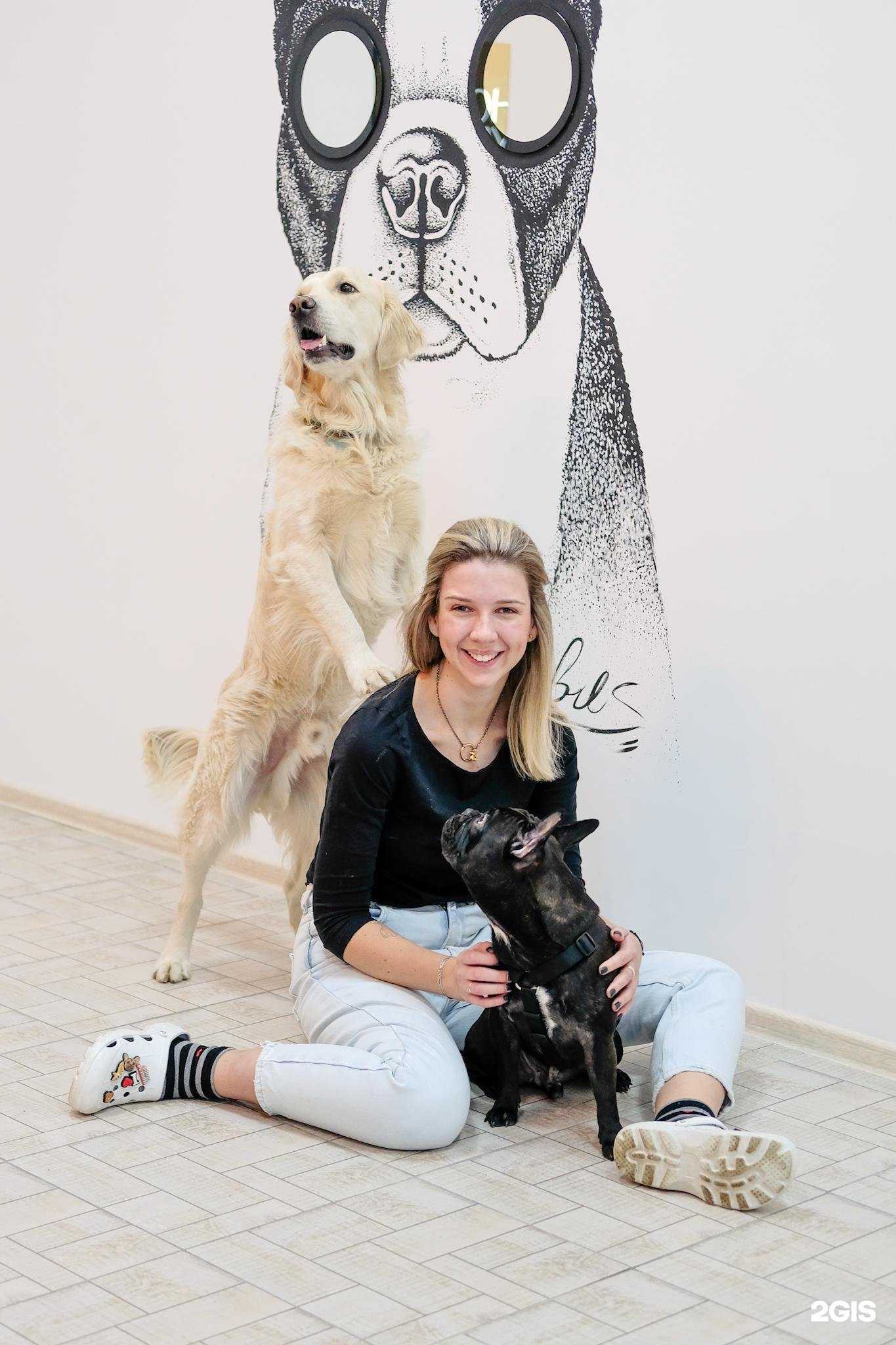 Отзывы на компанию Maslina groom в г. Люберцы c фото