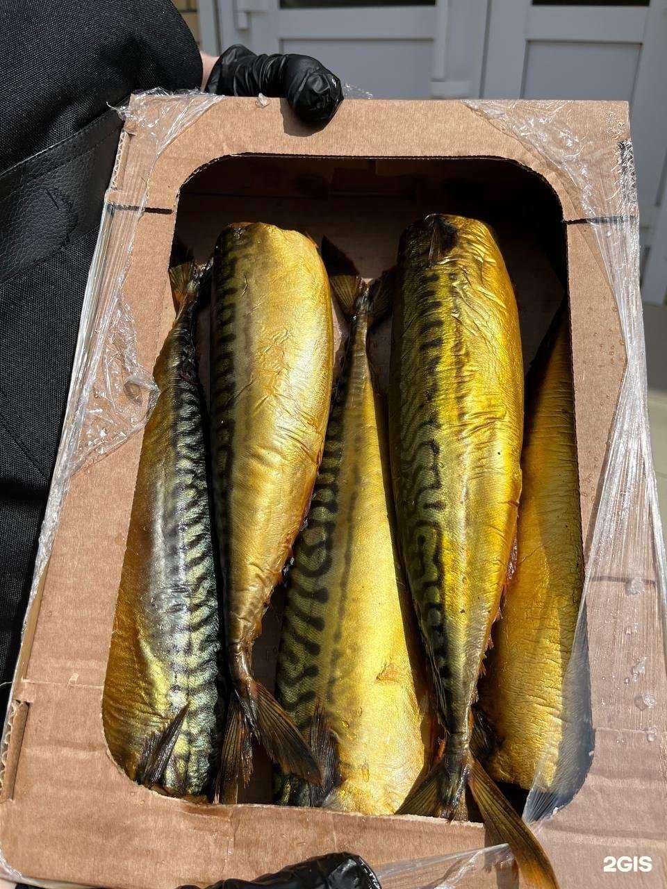 Отзывы на компанию Морской Гребешок в г. Краснодар c фото