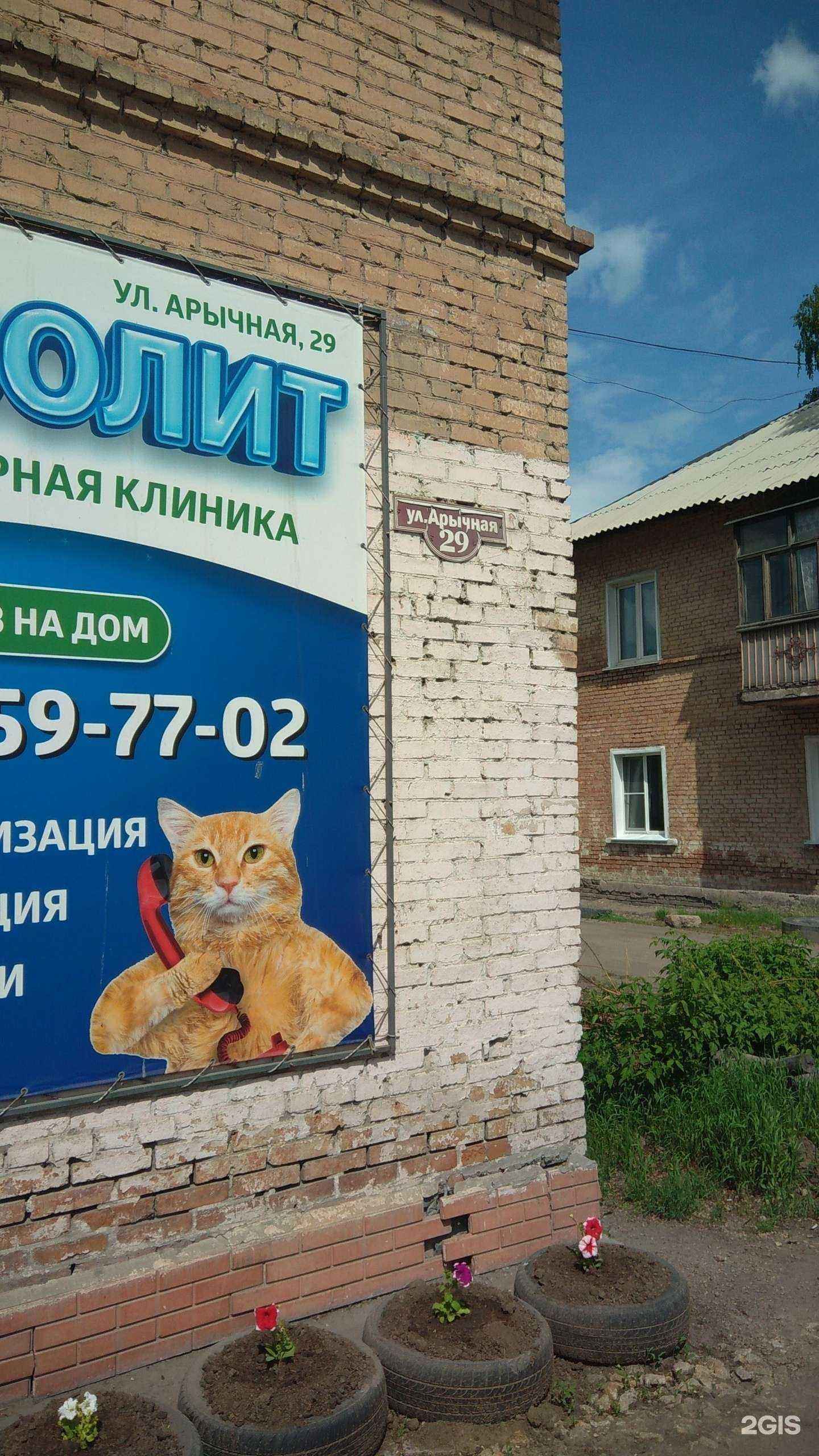 Отзывы на компанию Айболит в Рубцовске c фото - фотография 2 из 2