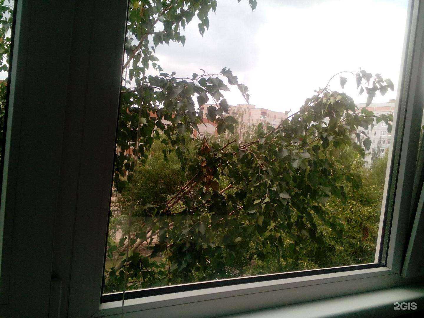 Отзывы на компанию Согаз в Стерлитамаке c фото - фотография 2 из 2