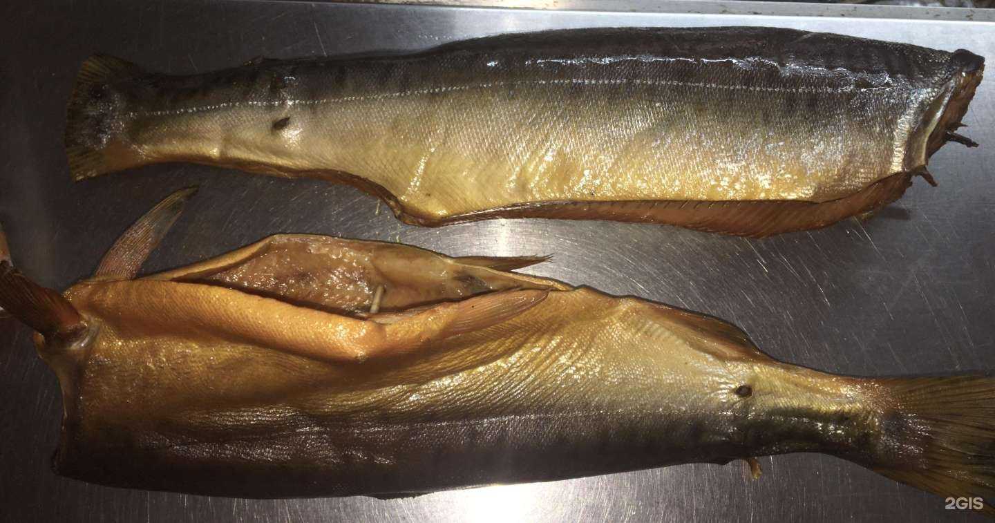 Отзывы на компанию Хмель и солодъ в Сочи c фото