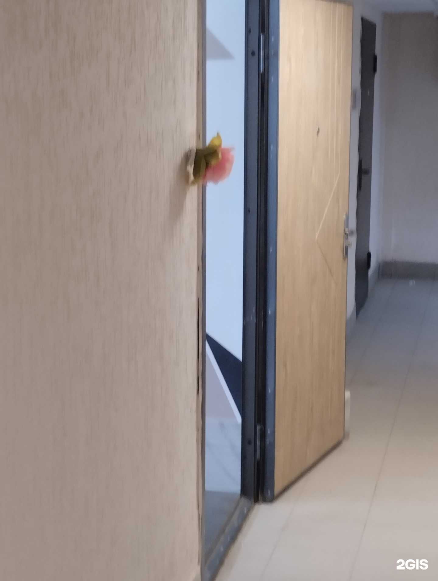 Отзывы на компанию Боди-Слим в г. Волгоград c фото