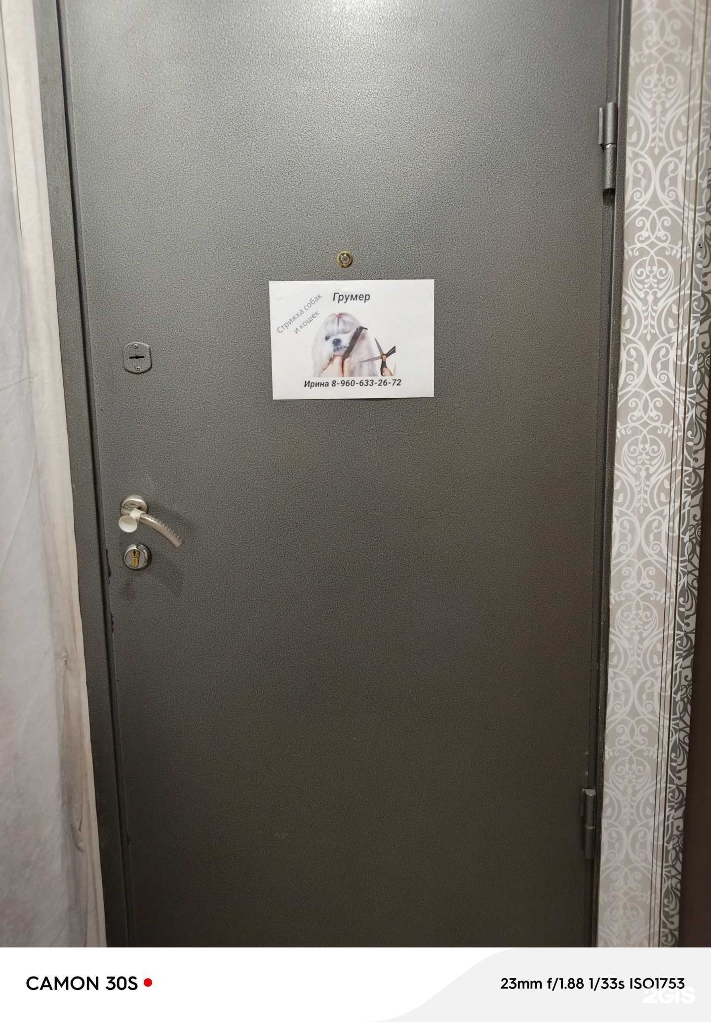 Отзывы на компанию Груминг салон в г. Алексеевка c фото