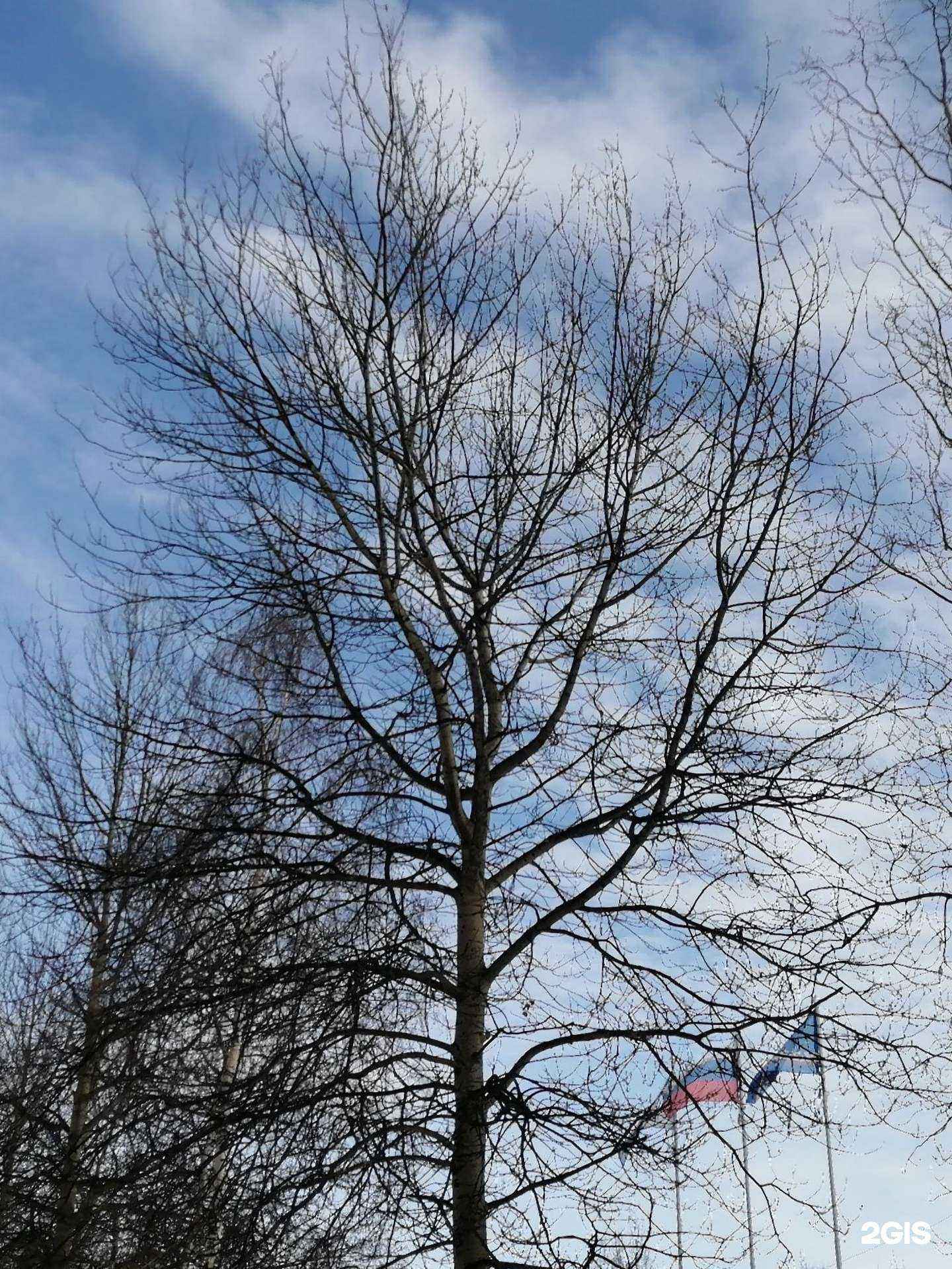 Отзывы на компанию Коррекционная школа в г. Ноябрьск c фото