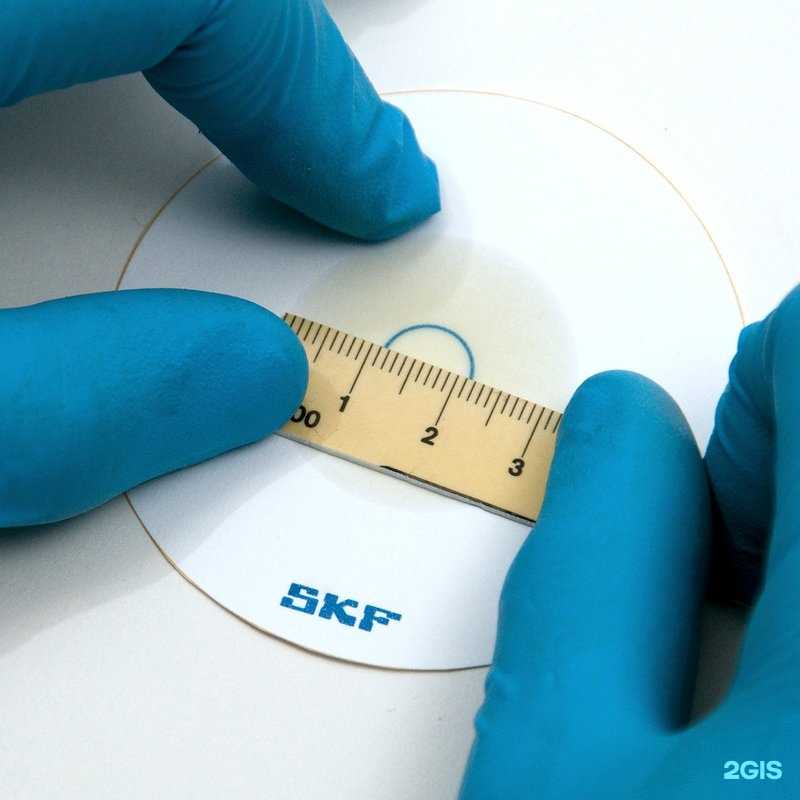 Отзывы на компанию Абсолют в г. Нижний Новгород c фото