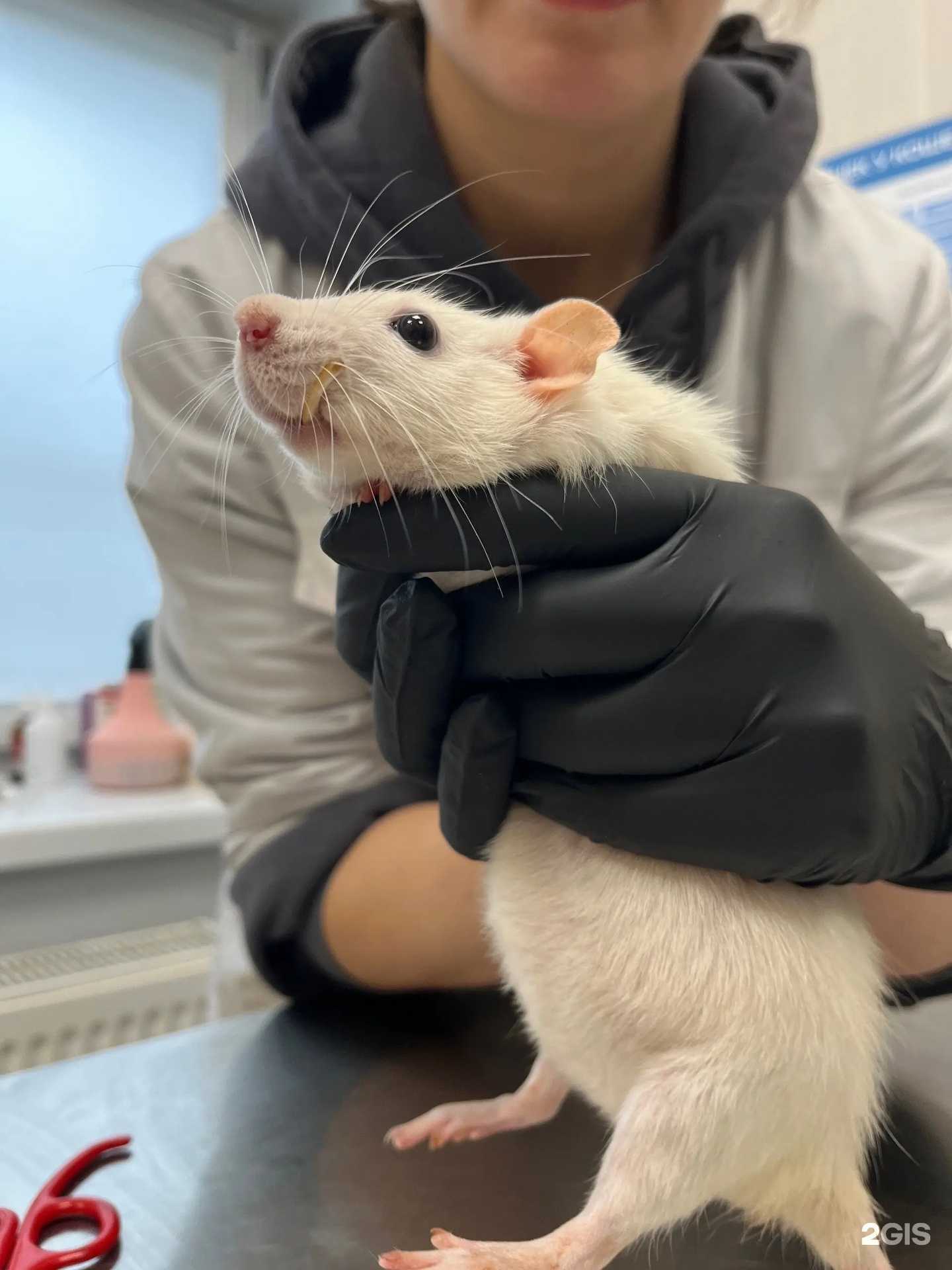 Отзывы на компанию Vita в г. Архангельск c фото