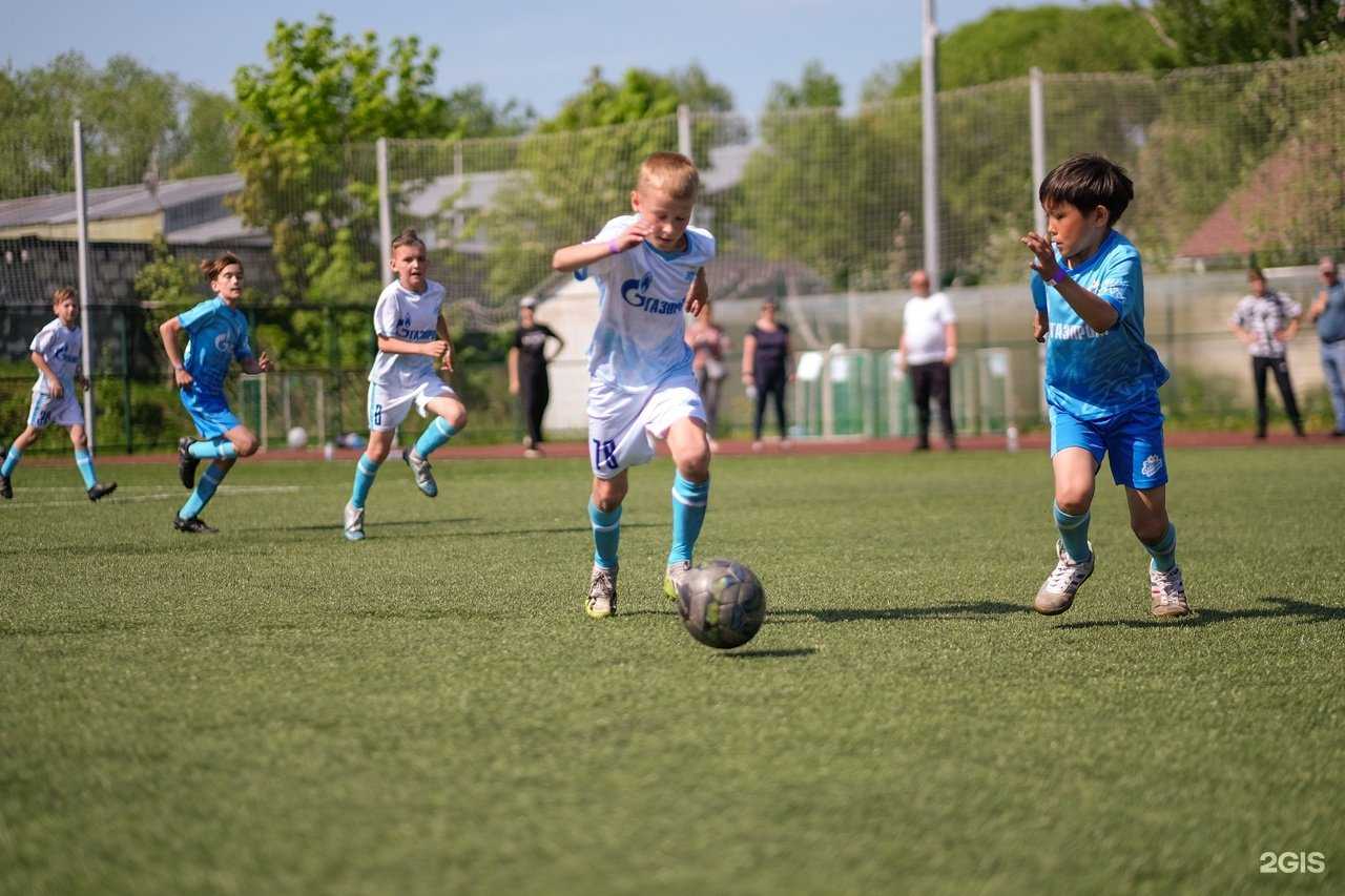 Отзывы на компанию Зенит-Чемпионика в г. Тюмень c фото