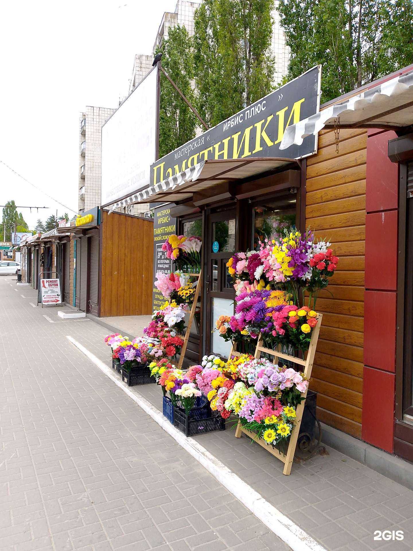 Отзывы на компанию Ирбис+ в Воронеже c фото