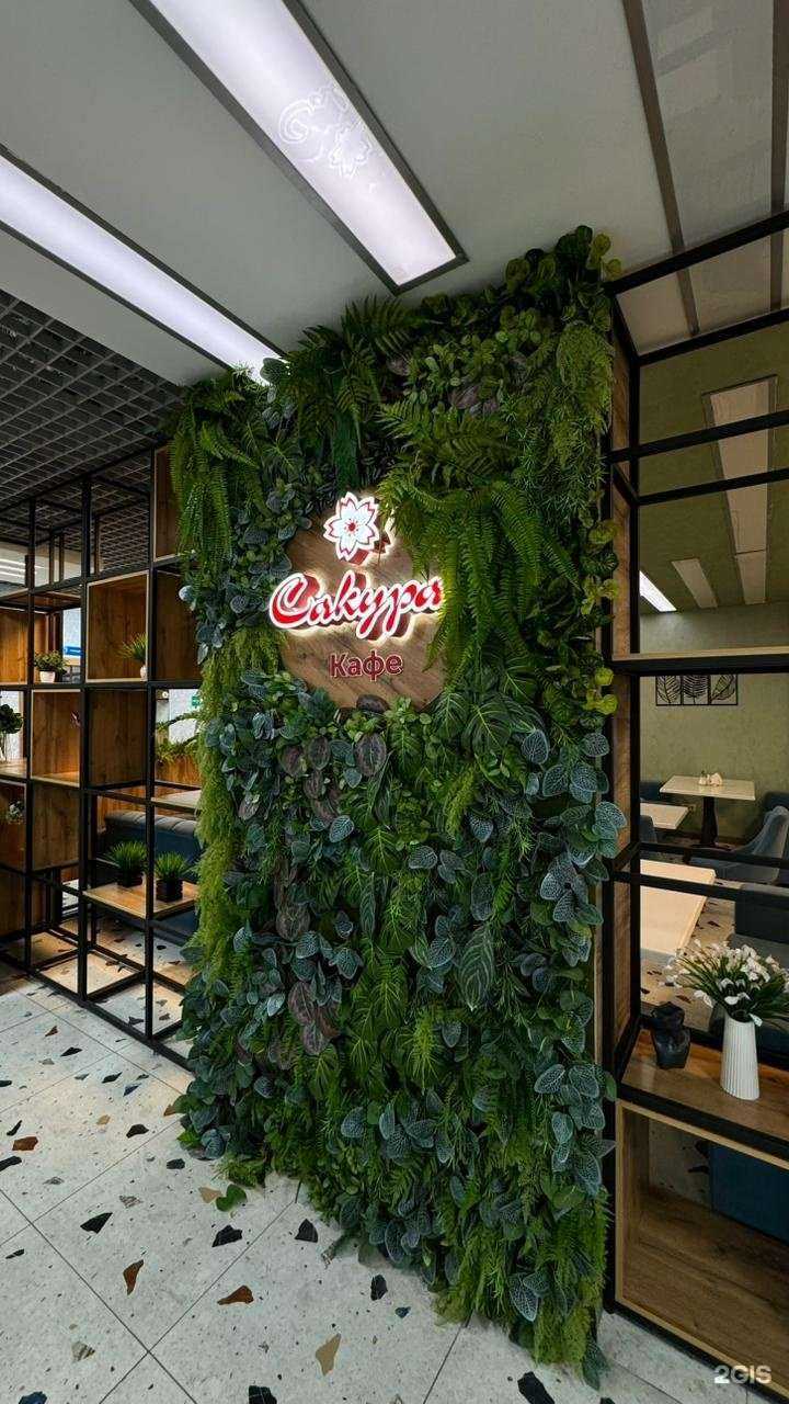 Отзывы на компанию Сакура в Альметьевске c фото