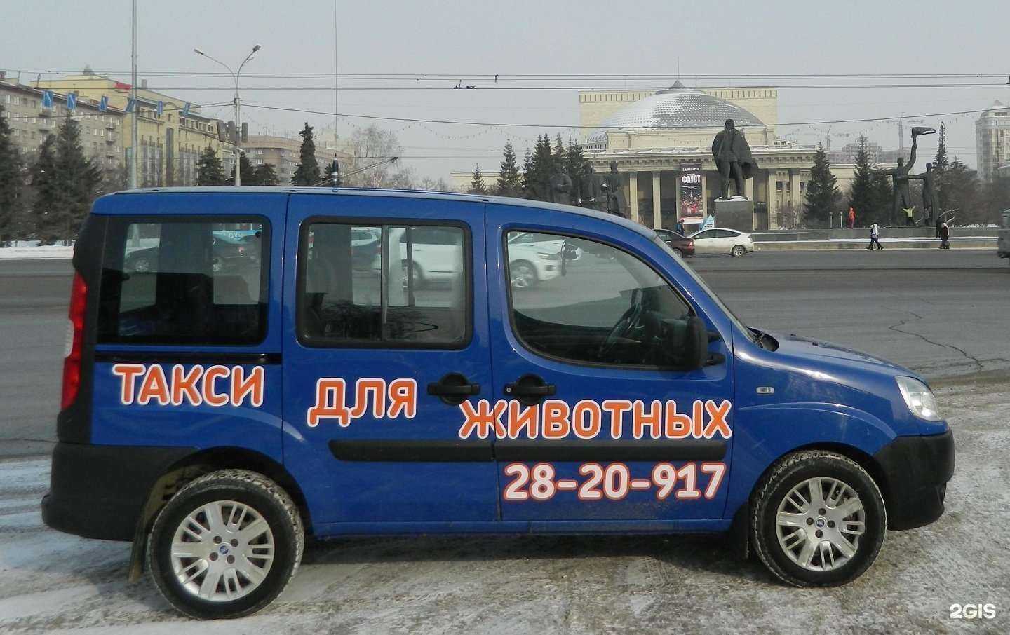 Отзывы на компанию Зоотакси в Красноярске c фото